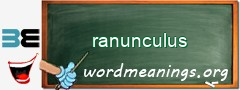 WordMeaning blackboard for ranunculus